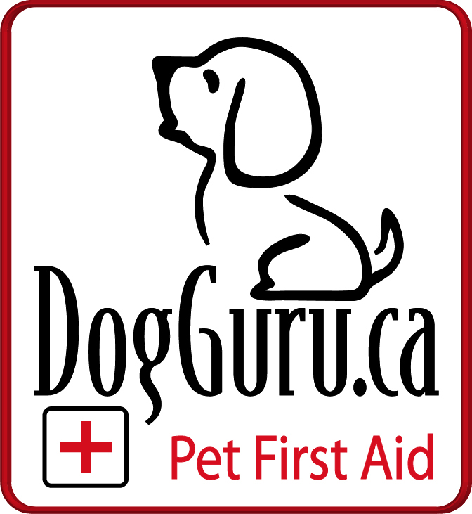 Pet First Aid