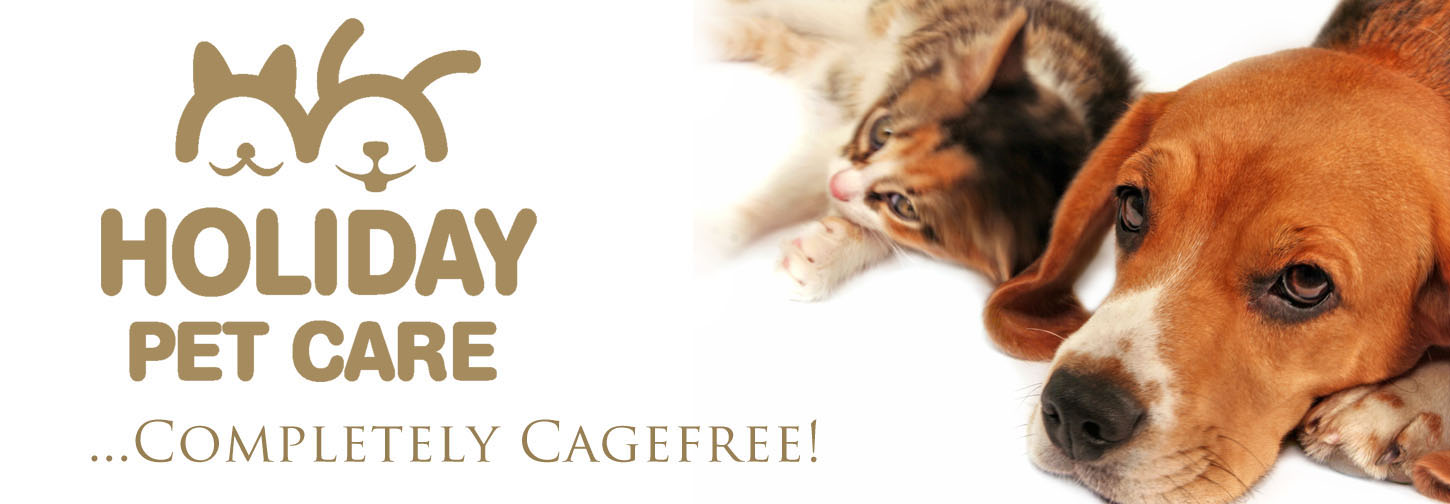 Holiday Pet Care Dog &  Cat Logo... offering dog daycare, cagefree doggie boarding / dog hotel, (not a kennel) dog walking, pet / cat sitting,  in  Thornhill, Richmond Hill, north Toronto, Ontario, Canada